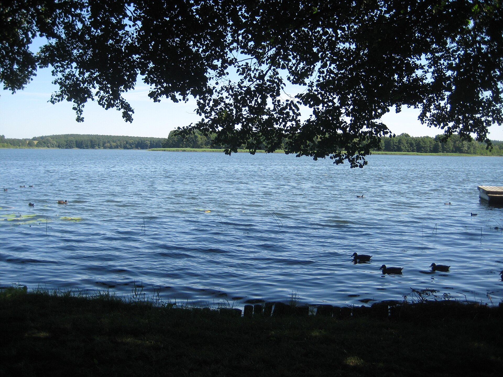 Oberpfuhl-See, Brandenburg